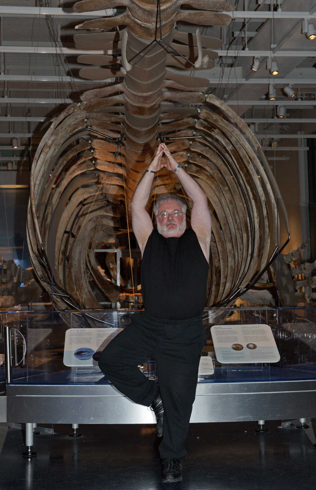 https://www.fifty-five-plus.com/wp-content/uploads/2014/01/nature-yoga-whale.jpg