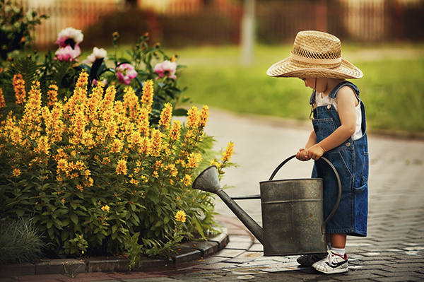 little-gardener