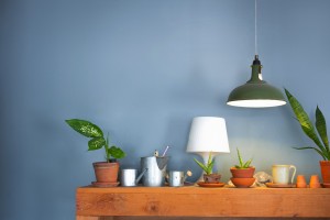 Table lamp and a small plant pot on wood cabinet