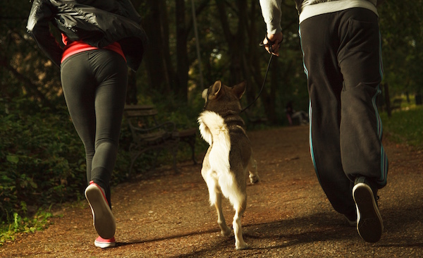 workout buddy