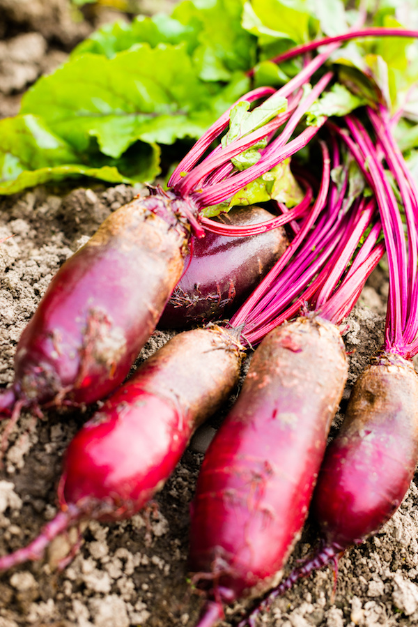 edible gardening