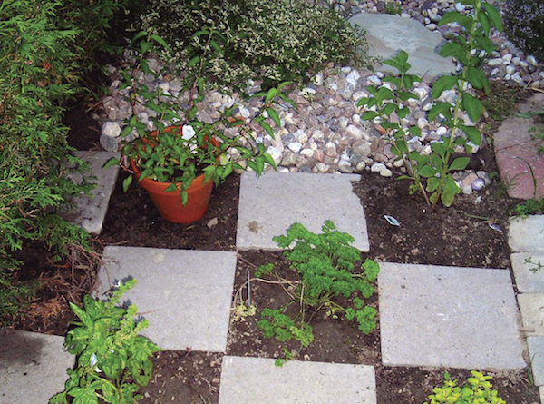 garden