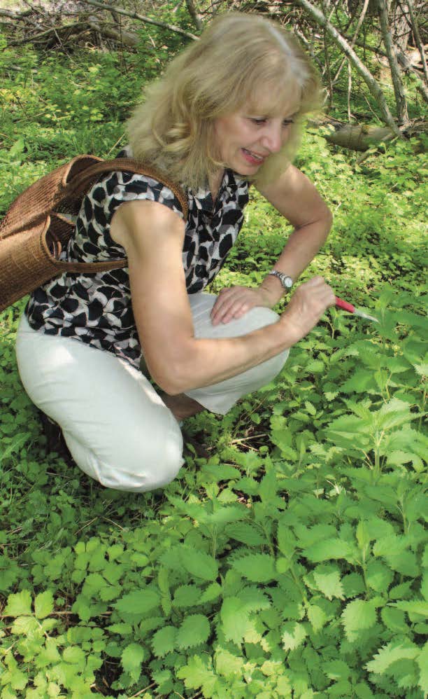 Carolyn Langdon looking at plants