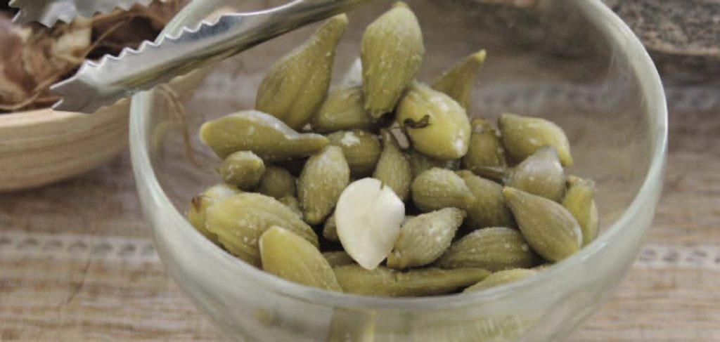 Photo of pickled milkweed pods