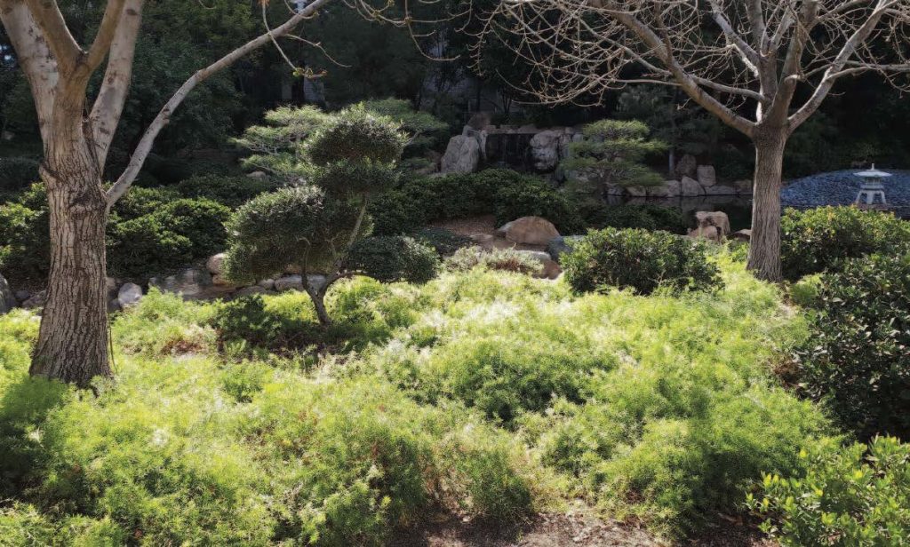 Photo of Japanese-Style Garden