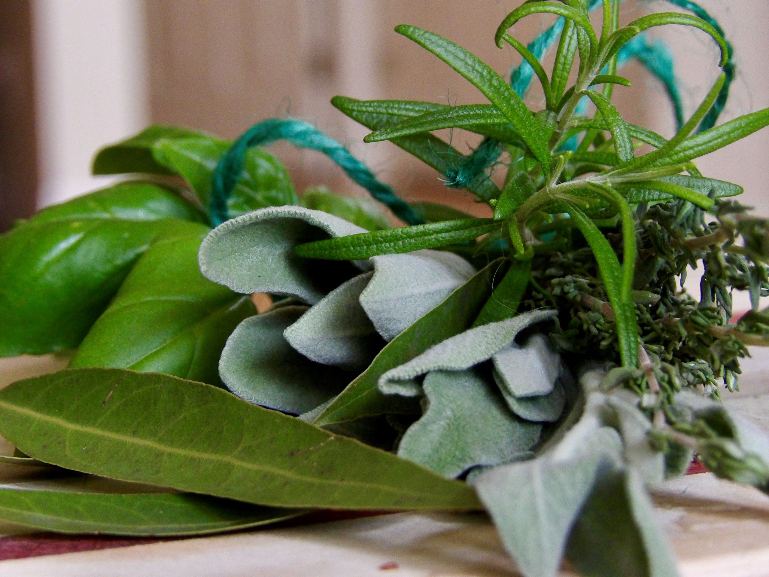 Build Your Indoor Herb Garden - Fifty-Five Plus Magazine